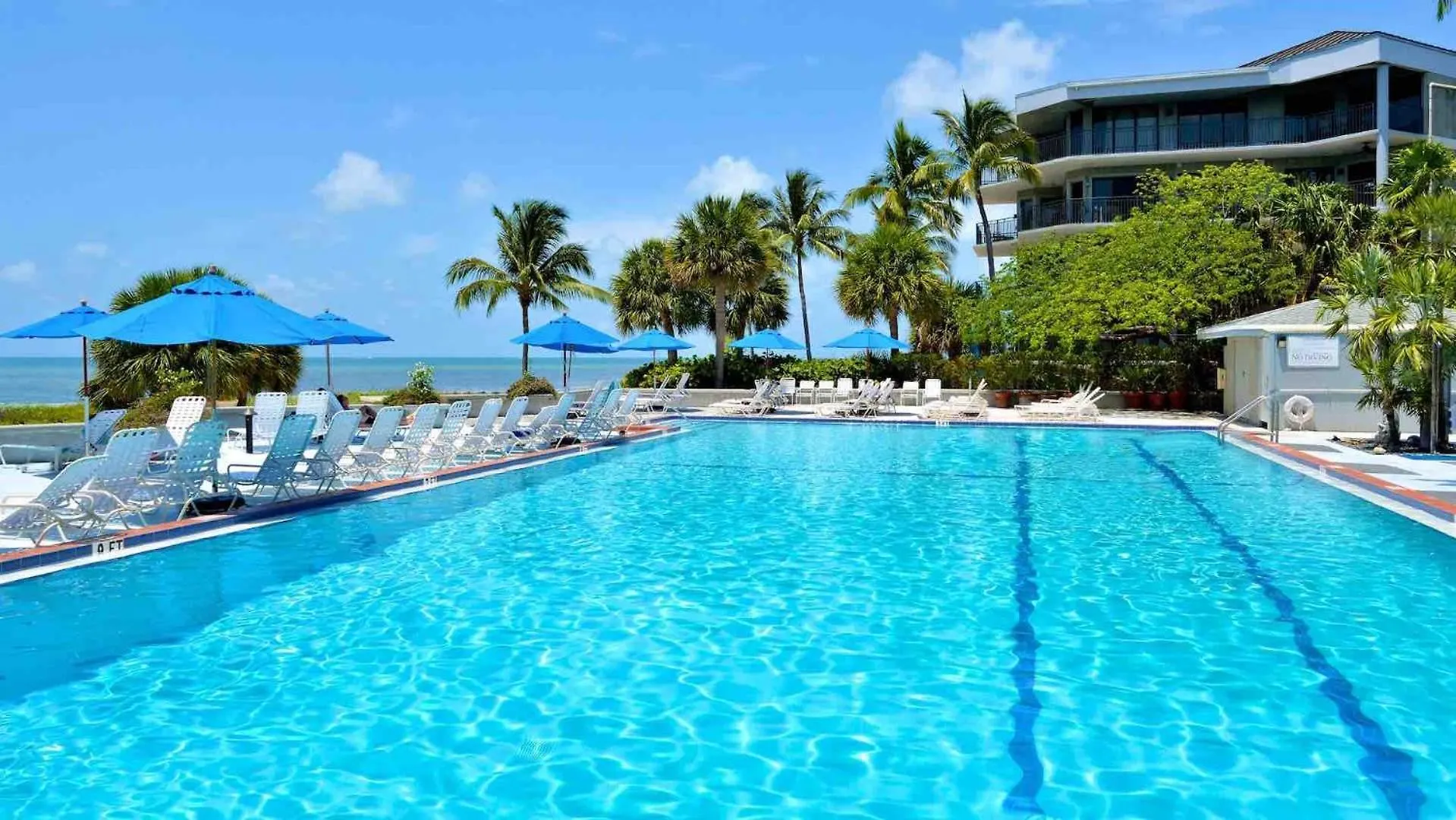 Windswept Palms By Last Key Realty Key West