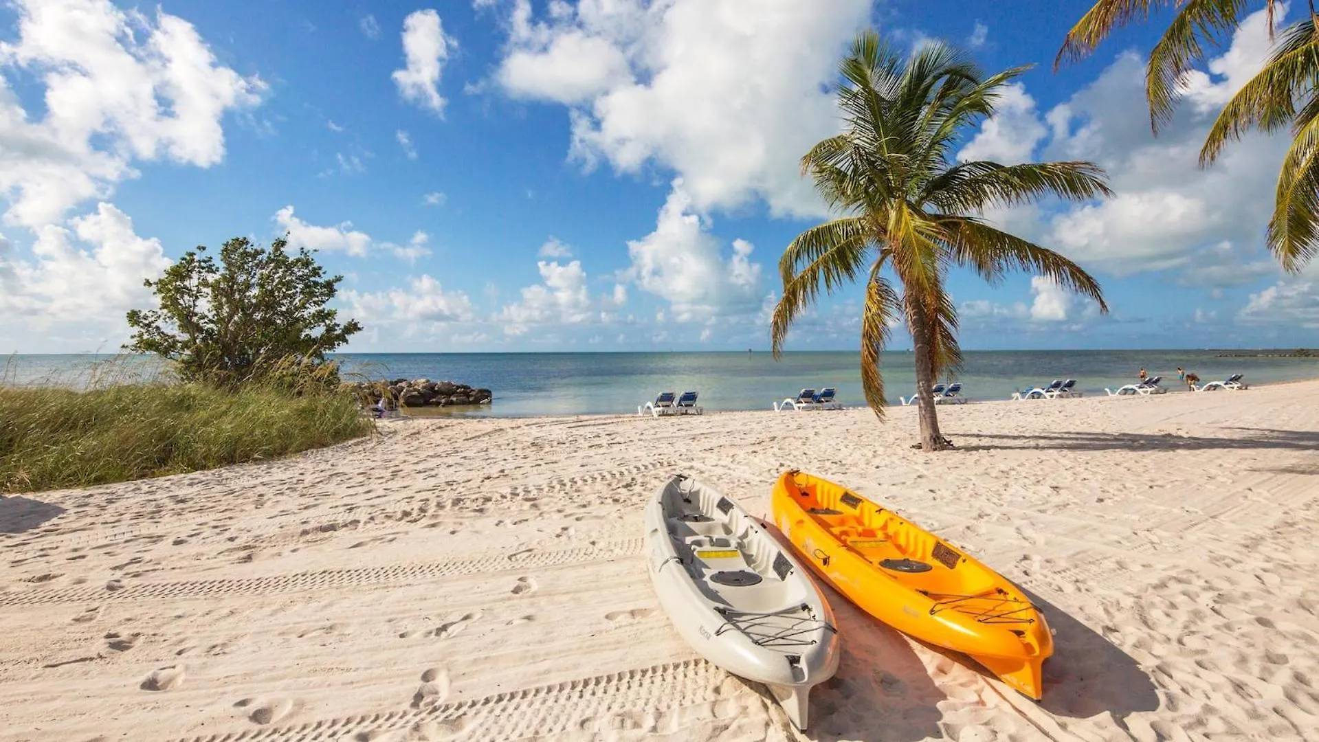 Апартаменты Windswept Palms By Last Key Realty Ки-Уэст