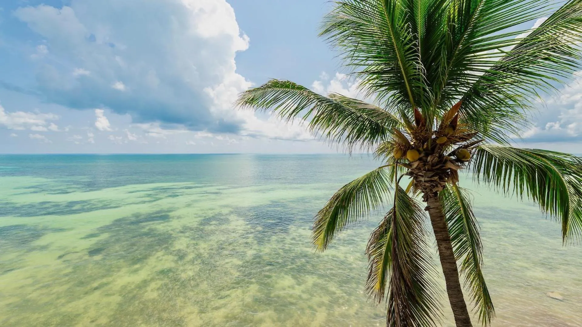 Windswept Palms By Last Key Realty Ки-Уэст 0*,
