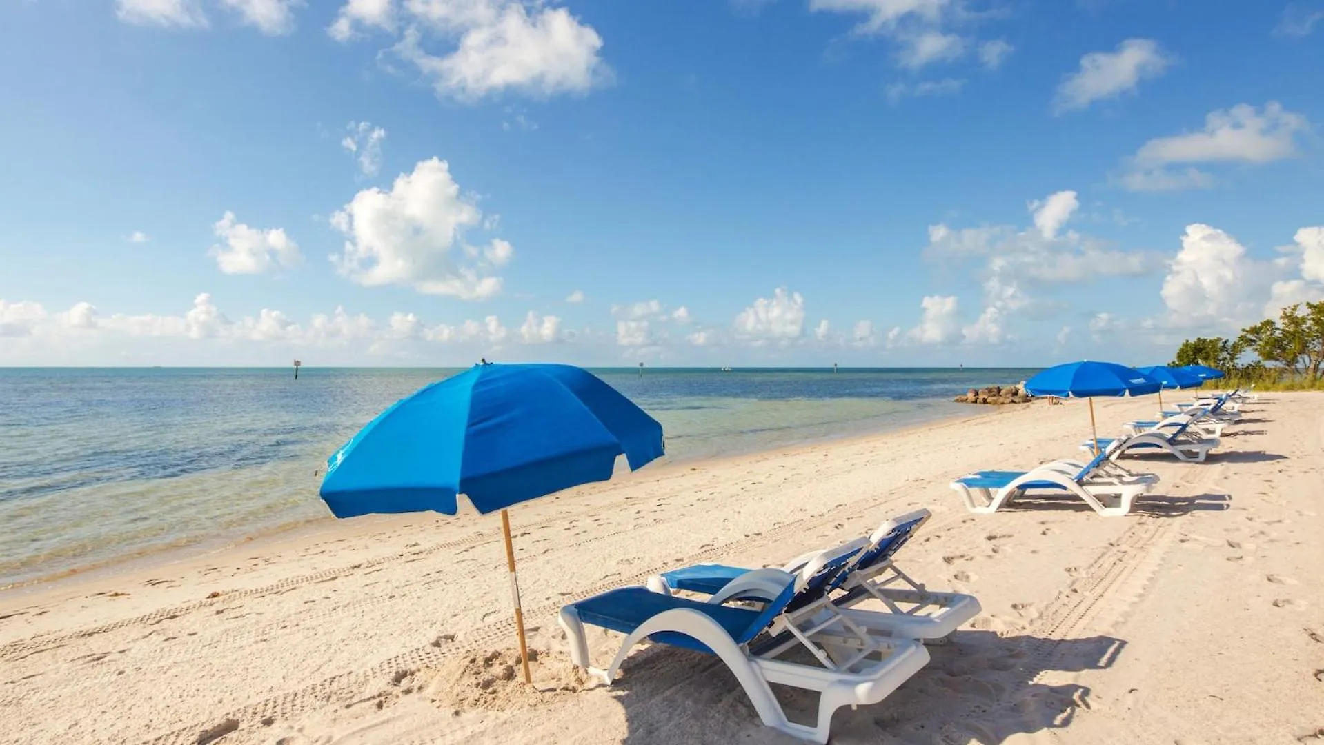 Windswept Palms By Last Key Realty Ки-Уэст Апартаменты