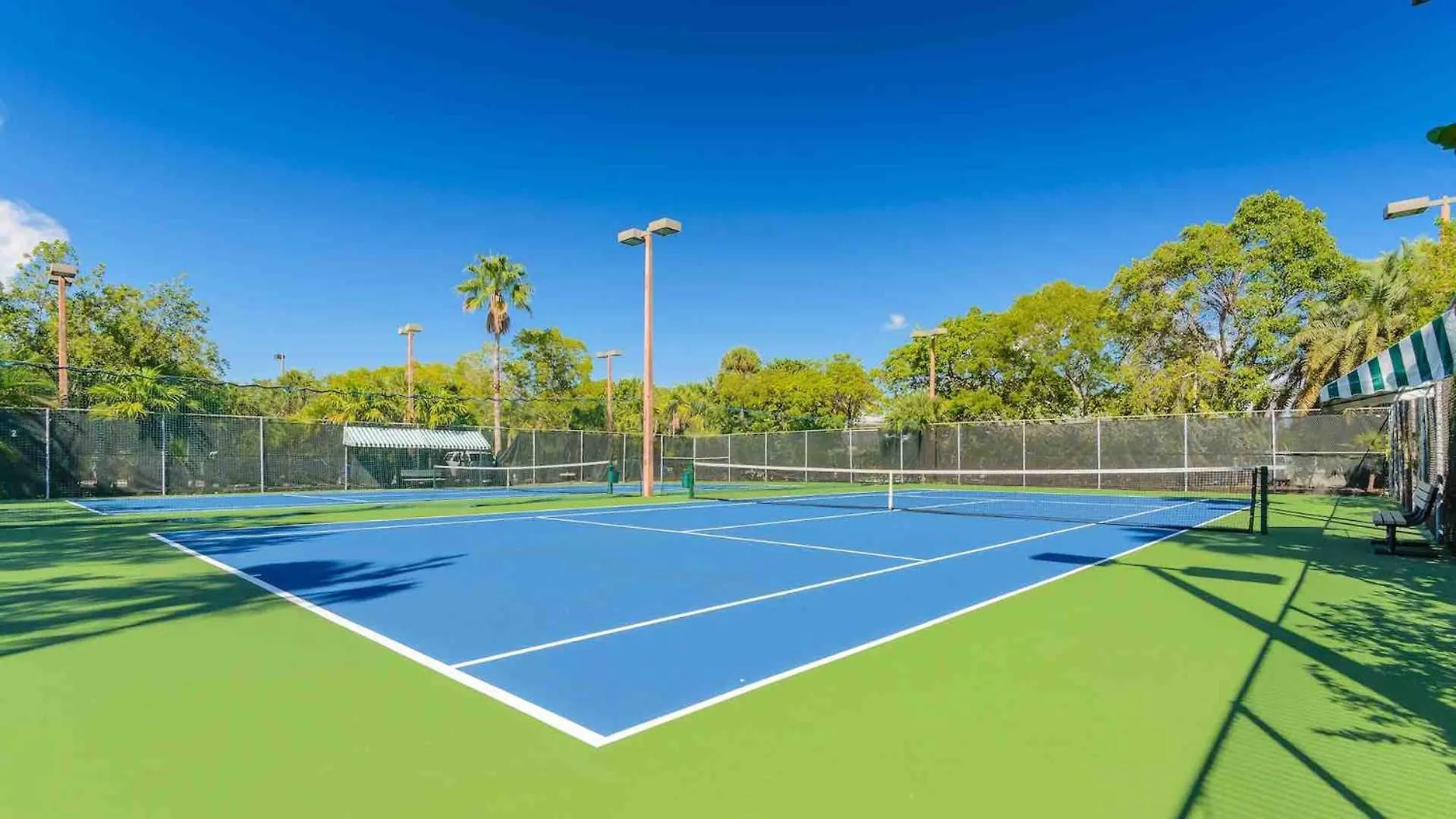 Windswept Palms By Last Key Realty Ки-Уэст 0*,