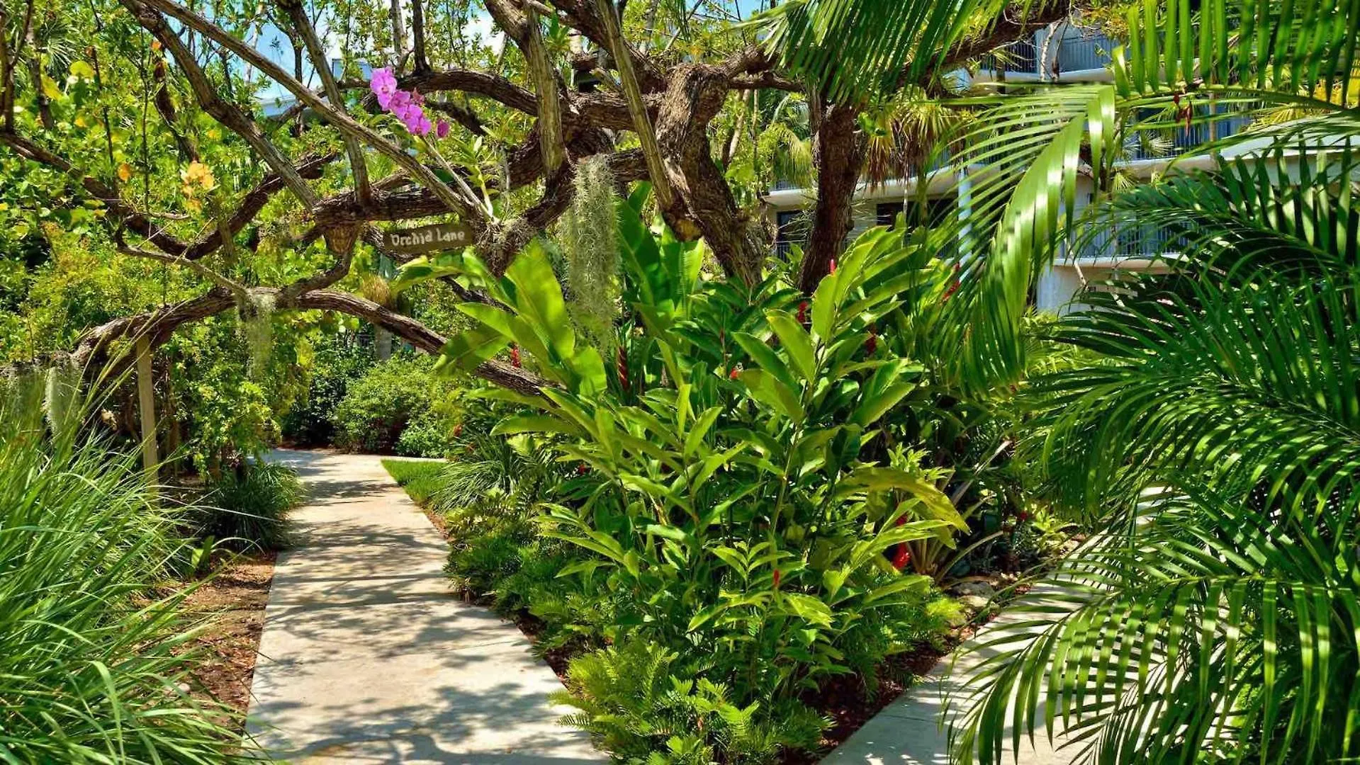 Апартаменты Windswept Palms By Last Key Realty Ки-Уэст